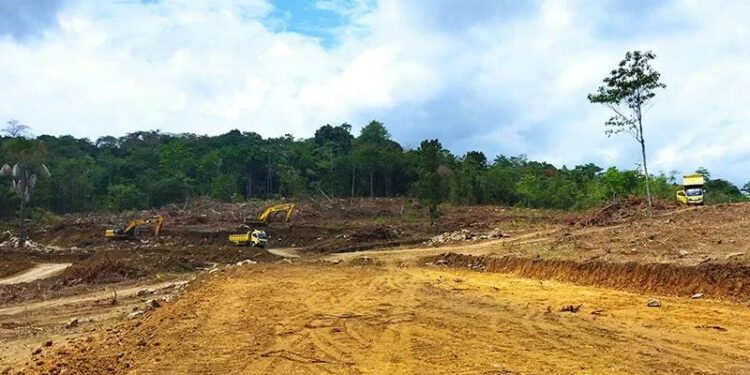 Lokasi proyek persemaian modern di Labuan Bajo, wilayah Satar Kodi, Desa Nggorang, Manggarai Barat, Nusa Tenggara Timur, Sabtu (28/8/2021). (MASAPNEWS/ANT)