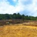 Lokasi proyek persemaian modern di Labuan Bajo, wilayah Satar Kodi, Desa Nggorang, Manggarai Barat, Nusa Tenggara Timur, Sabtu (28/8/2021). (MASAPNEWS/ANT)
