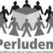 Logo Perludem.