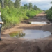 Anggota DPRD Kotawaringin Timur, Rimbun saat meninjau Jalan Sawit Raya yang rusak dan perlu penanganan, Jumat (24/9/2021). ANT/IST