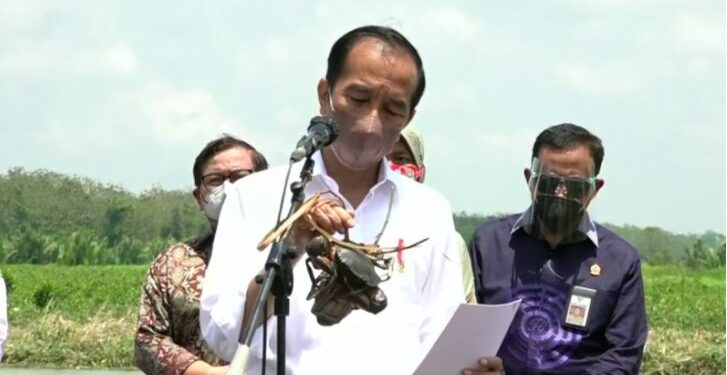 Tangkapan Layar - Presiden Joko Widodo (Jokowi) menanam mangrove di Desa Tritih, Kabupaten Cilacap, Jawa Tengah, Kamis (23/9). (ANT/IST)