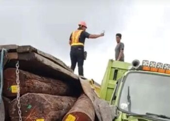 Truk pengangkut log kayu yang terbalik di Desa Bukit Rawi, Kabupaten Pulang Pisau, Jumat (3/9/2021). PT HPL menegaskan truk tersebut bukan transportir milik mereka.