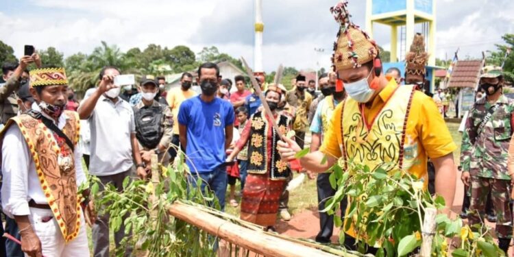 Bupati Lamandau H Hendra Lesmana melakukan adat potong pantan saat meresmikan sarana dan prasarana di desa Bokunsu Kecamatan Lamandau, kemrin.