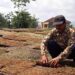Seorang petani menjemur tembakau di daerah Bulu, Kabupaten Temanggung. (MASAPNEWS/ANT/Heru Suyitno)