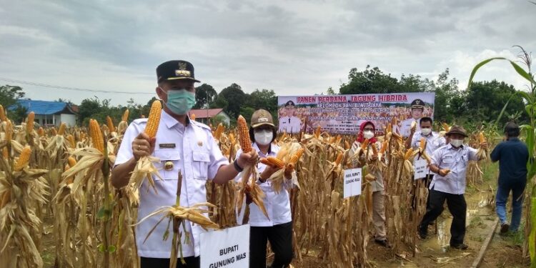 Bupati Gumas Jaya S Monong bersama Wabup Efrensia L.P Umbing, Kepala Distan Letus Guntur, dan lainnya. (Foto : Diskominfo Kabupaten Gumas)