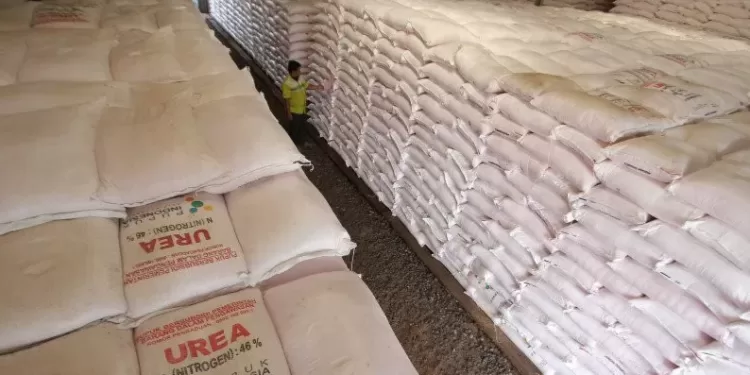 Ilustrasi - Petugas memeriksa pupuk subsidi yang baru tiba di gudang lini III PT Pupuk Kujang, Jatibarang, Indramayu, Jawa Barat. (MASAPNEWS/ANT)