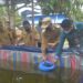 Wakil Ketua I DPRD Gumas Binartha (kanan) bersama Bupati Jaya S Monong (kanan kedua) dan lainnya saat pelepasan bantuan benih ikan kepada pokdakan di Desa Bereng Jun, Kecamatan Manuhing, Senin (25/10/2021). (ANTARA/HO-Diskominfosantik Gumas)