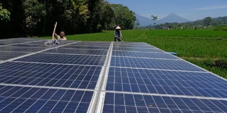 Ilustrasi panel surya pembangkit listrik di tengah hamparan sawah. (MASAPNEWS/ANT)