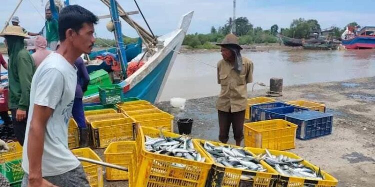 Nelayan mengangkut ikan di PPN Idi, Kabupaten Aceh Timur, Sabtu (18/9/2021). (MASAPNEWS/ANT)
