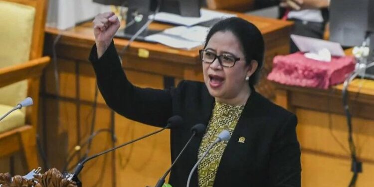 Ketua DPR RI Puan Maharani (MASAPNEWS/ANT)