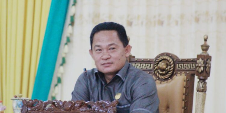 Wakil ketua DPRD Lamandau Budi Rahmat, SE