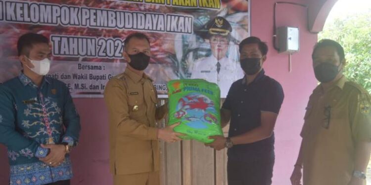 Bupati Gumas, Jaya S Monong menyalurkan benih dan pakan ikan di Desa Bereng Jun, Kecamatan Manuhing, Senin (25/10/2021). (IST)