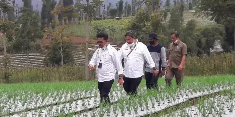 Menteri Pertanian Syahrul Yasin Limpo meninjau tanaman bawang merah sistem "food estate" di Kecamatan Bansari, Kabupaten Temanggung, Kamis (18/11/2021). (MASAPNEWS/ANT)