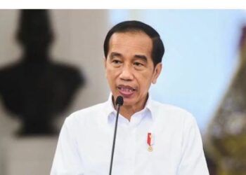 Presiden Joko Widodo. (IST)