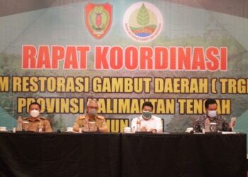 Ekosistem Gambut Sudah Rusak