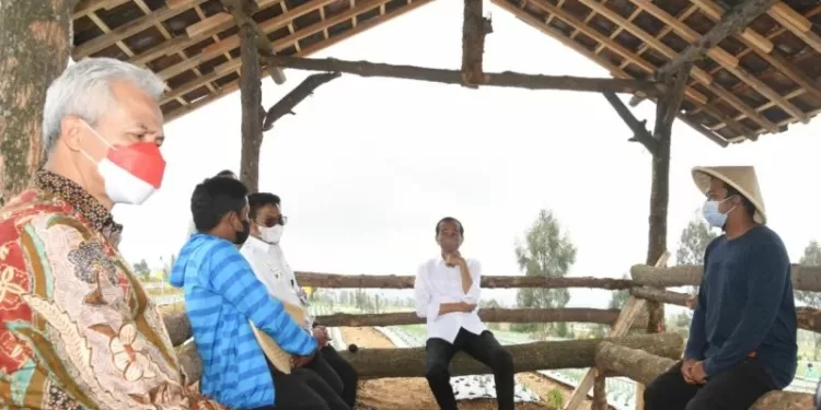 Presiden Jokowi berbincang dengan sejumlah petani di Desa Bansari, Kabupaten Temanggung, Jawa Tengah, Selasa (14/12/2021). (MASAPNEWS/ANT/HO-Rusman-Biro Pers Sekretariat Presiden)