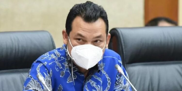 Wakil Ketua Komisi VI DPR RI Martin Manurung. (MASAPNEWS/ANT/HO-DPP NasDem)