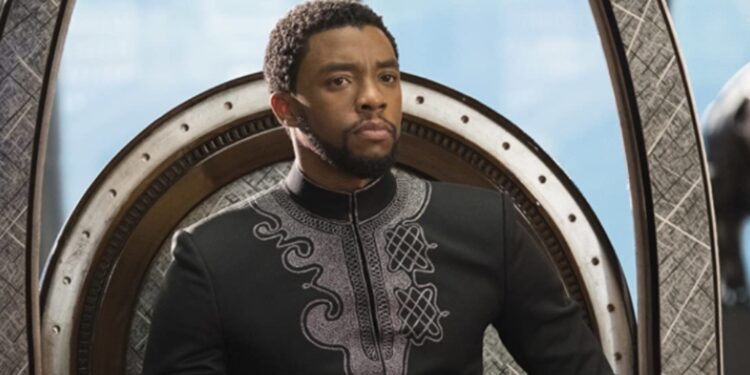 Chadwick Boseman sebagai T'challa / Black Panther dalam "Black Panther" (2018). (IMDB/Marvel Studios)