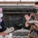 Menteri Pariwisata dan Ekonomi Kreatif Sandiaga Uno saat melakukan peninjauan ke Candi Borobudur, Magelang, Jawa Tengah, Jumat (14/1). (MASAPNEWS/ANT/HO-Kemen)