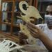 Ilustrasi: Perajin Sanggar Wayang Gogon membuat wayang kulit di Sentra Industri Kecil Menengah (IKM) Kreatif Semanggi Harmoni, Solo, Jawa Tengah. (MASAPNEWS/ANT)