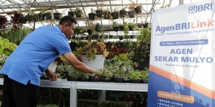 Seorang pelaku usaha tanaman hias Klaster Usaha Binaan Tanaman Hias Sekarmulyo menata tanamannya di Desa Sidomulyo, Kecamatan Batu, Batu, Jawa Timur, Kamis (20/1/2022). (MASAPNEWS/ANT/HO-HumasBRI)