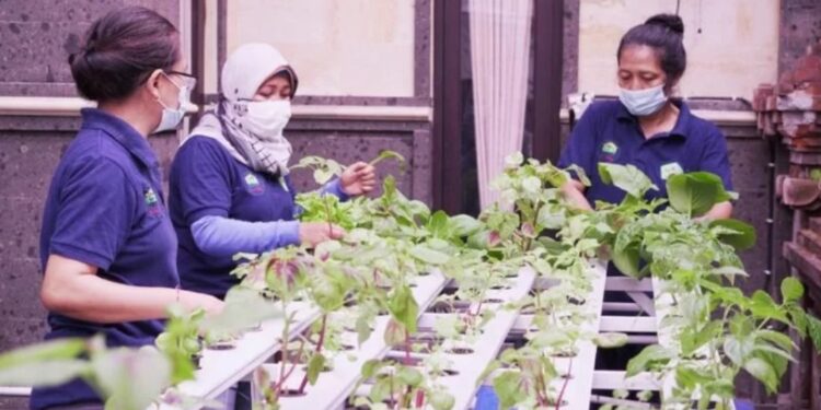 PT Bank Rakyat Indonesia (Persero) memberi bantuan pemberdayaan kelompok perempuan kepada Kelompok Wanita Tani (KWT) Kota Pala di Bali, Minggu (23/1/2022). (MASAPNEWS/ANT/HO-HumasBRI)