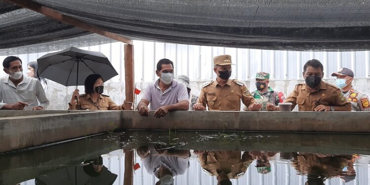 Bupati Gumas Jaya S Monong bersama Wakil Bupati Efrensia L.P Umbing, Kepala DPKP Gumas Hansli Gonak dan lainnya meninjau perkembangan benih ikan yang disalurkan kepada Pokdakan Beringin di Desa Sepang Kota, Kecamatan Sepang, Senin (27/12/2021).