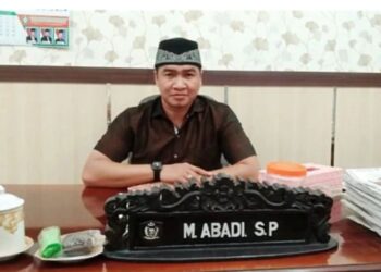 Anggota DPRD Kabupaten Kotim, M Abadi. (IST)