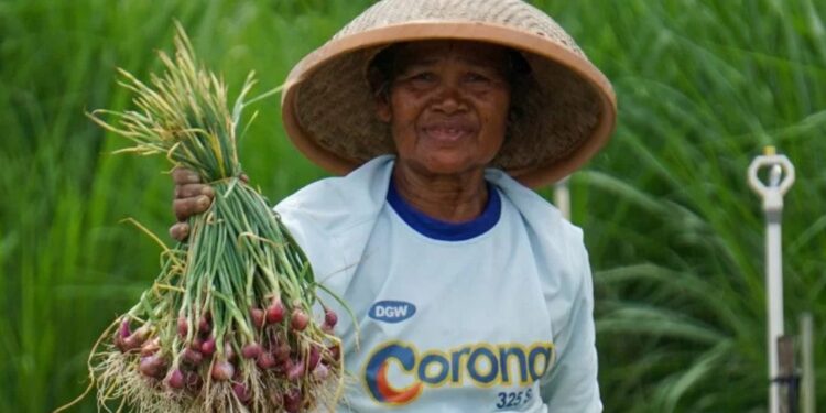 Ilustrasi - Petani menunjukkan hasil panen bawang merah di ladang Kampung Arsopura, Skanto, Keerom, Papua, Senin (7/2/2022). (MASAPNEWS/ANT)