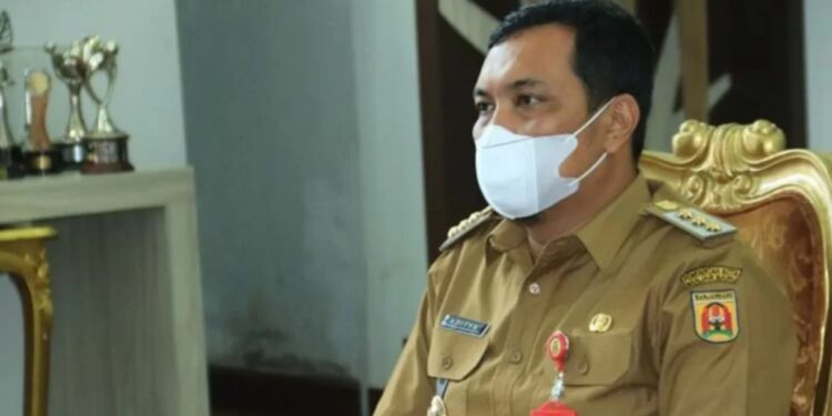 Wali Kota Banjarbaru H M Aditya Mufti Ariffin. (MASAPNEWS/ANT/HO)