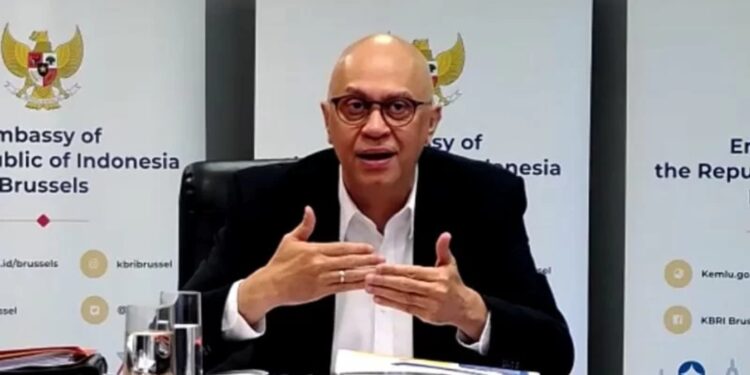 Duta Besar Indonesia untuk Belgia merangkap Luxemburg dan Uni Eropa Andri Hadi saat audiensi virtual dengan Forum Komunikasi Masyarakat Perhutanan Indonesia (FKMPI) di Jakarta. (MASAPNEWS/ANT/HO-FKMPI)