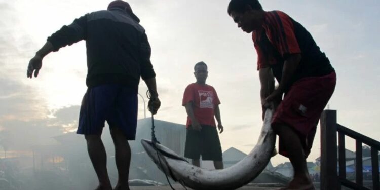 Buruh angkut menggotong ikan di Pangkalan Pendaratan Ikan (PPI) Beba, Kabupaten Takalar, Sulawesi Selatan, Minggu (13/3/2022). (MASAPNEWS/ANT)