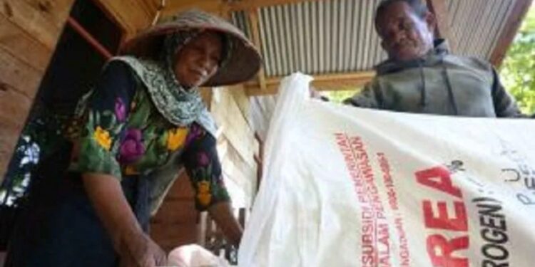 Dokumentasi - Petani menyiapkan pupuk bersubsidi untuk ditaburkan di area persawahan Indrapuri, Aceh Besar, Aceh, Sabtu (22/1/2022). (MASAPNEWS/ANT)