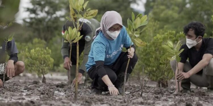 Traveloka tanam 40.000 bibit bakau di Buleleng, Bali (MASAPNEWS/ANT/HO)