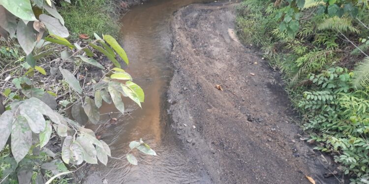 Sungai kecil di Desa Tumbang Tambirah, Kecamatan Kurun, Kabupaten Gumas diduga tercemar cucian limbah batu bara dari perusahaan yang beroperasi di wilayah setempat, Selasa (26/4/2023). (MASAPNEWS/HY)