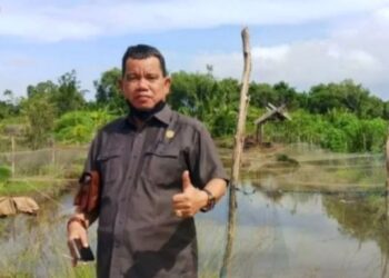 Ketua Komisi II DPRD Kabupaten Kotawaringin Timur, Juliansyah. (ANT/IST)