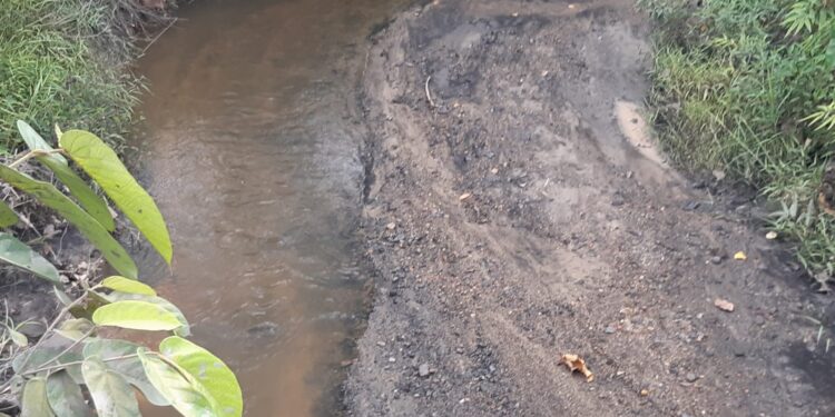 Sungai kecil Desa Tumbang Tambirah Kecamatan Kurun Kabupaten Gumas diduga tercemar limbah cucian Batubara dari perusahaan setempat.