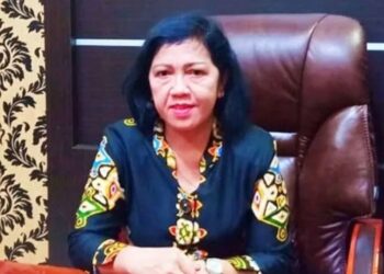 Ketua DPRD Kabupaten Kotawaringin Timur, Rinie. (ANT)