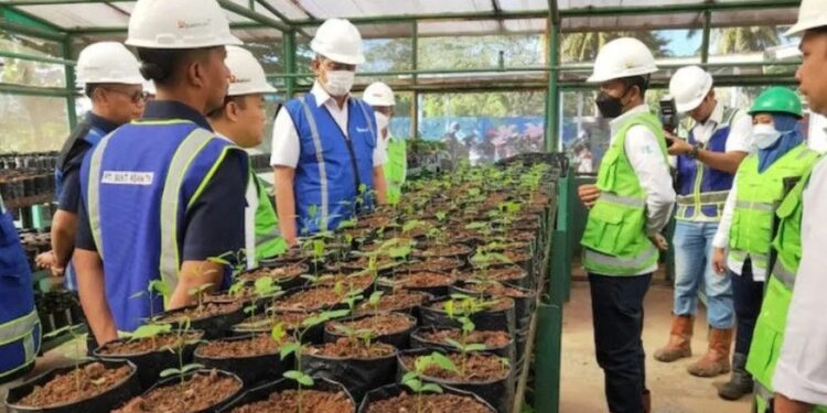 Jajaran direksi PTBA meninjau Botanical Garden di Tanjung Enim, Kabupaten Muaraenim, Sumsel, Jumat (10/6/22). (MASAPNEWS/ANT/HO-PTBA)