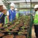 Jajaran direksi PTBA meninjau Botanical Garden di Tanjung Enim, Kabupaten Muaraenim, Sumsel, Jumat (10/6/22). (MASAPNEWS/ANT/HO-PTBA)