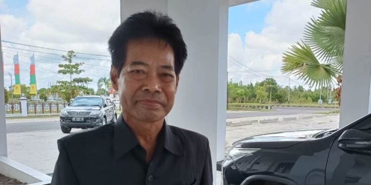 Legislator Kabupaten Gumas, Riantoe. (IST)