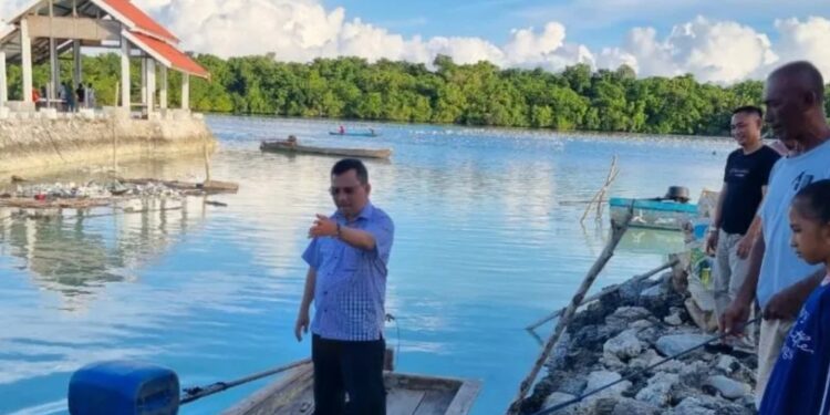 Di Kepri, butuh investor untuk meningkatkan kapasitas produksi sehingga tidak dijual mentah. Kami ingin nelayan memperoleh salah dalam pengelolaan tepung rumput laut. Ini akan meningkatkan kesejahteraan mereka (MASAPNEWS/ANT)