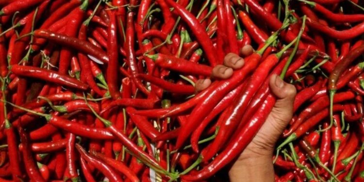 Pedagang sayur menyortir cabai merah di Pasar Induk Rau, Kota Serang, Banten, Jumat (1/7/2022). Badan Pusat Statistik melaporkan laju inflasi periode bulan Juni (month to month/mtm) tercatat 0,61 persen, dan inflasi tahunan (year on year/yoy) pada bulan ini sebesar 4,35 persen yang dipicu naiknya harga sejumlah barang kebutuhan pokok seperti cabai merah (0,17 persen), cabai rawit (0,11 persen), bawang merah (0,08 persen) serta kenaikan bahan pokok lainnya seperti telur, tomat dan ikan segar. (MASAPNEWS/ANT)
