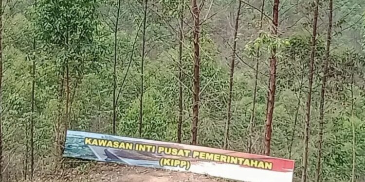 Kawasan inti pusat pemerintahan atau KIPP di wilayah Kecamatan Sepaku, Kabupaten Penajam Paser Utara, Kalimantan Timur. (MASAPNEWS/ANT)