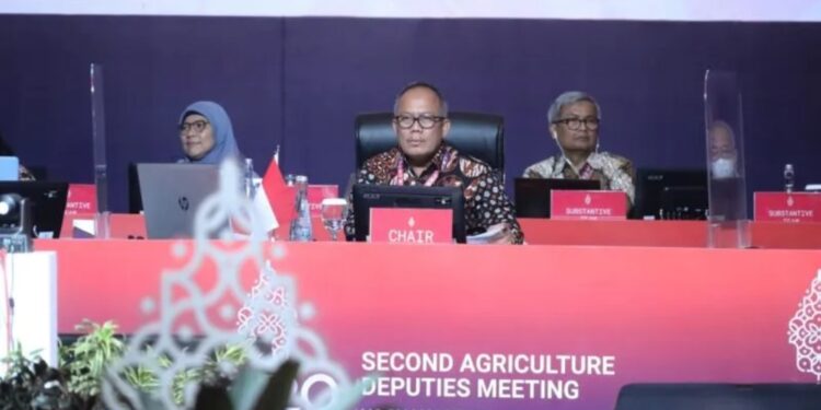 Sekretaris Jenderal Kementerian Pertanian selaku Chair G20 Agriculture Working Group (AWG) Kasdi Subagyono memimpin Pertemuan Kedua Kelompok Kerja (Pokja) Pertanian Tingkat Deputi/Eselon I G20 yang diselenggarakan di Yogyakarta, Rabu (27/7/2022). (MASAPNEWS/ANT/HO-Kementerian Pertanian)
