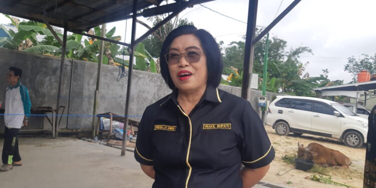 Wakil Bupati Gumas, Efrensia LP Umbing. (MASAPNEWS/HY)