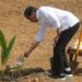 Presiden Joko Widodo menyirami pohon kelapa genjah yang ditanamnya di lahan pertanian Giriroto, Ngemplak, Boyolali, Jawa Tengah, Kamis (11/8/2022). (MASAPNEWS/ANT)