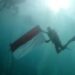 Dokumentasi-Pangkalan TNI AL Banten bersama POSSI Cilegon melaksanakan Upacara Pengibaran Bendera Merah Putih di bawah laut pada kedalaman 10 meter di Pulau Sangiang, Banten, Senin (17/8). (MASAPNEWS/ANT)