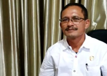 Anggota DPRD Kabupaten Kotim, Pardamean Gultom. (IST)