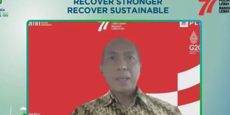 Executive Vice President (EVP) Perencanaan Sistem Ketenagalistrikan PLN Edwin Nugraha Putra. (MASAPNEWS/ANT/HO)